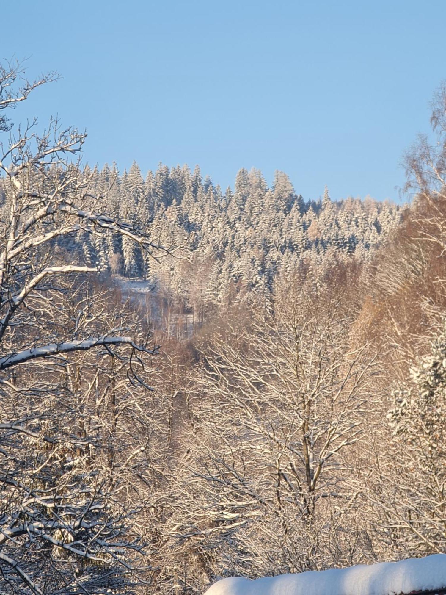 Sieraton I Homestay