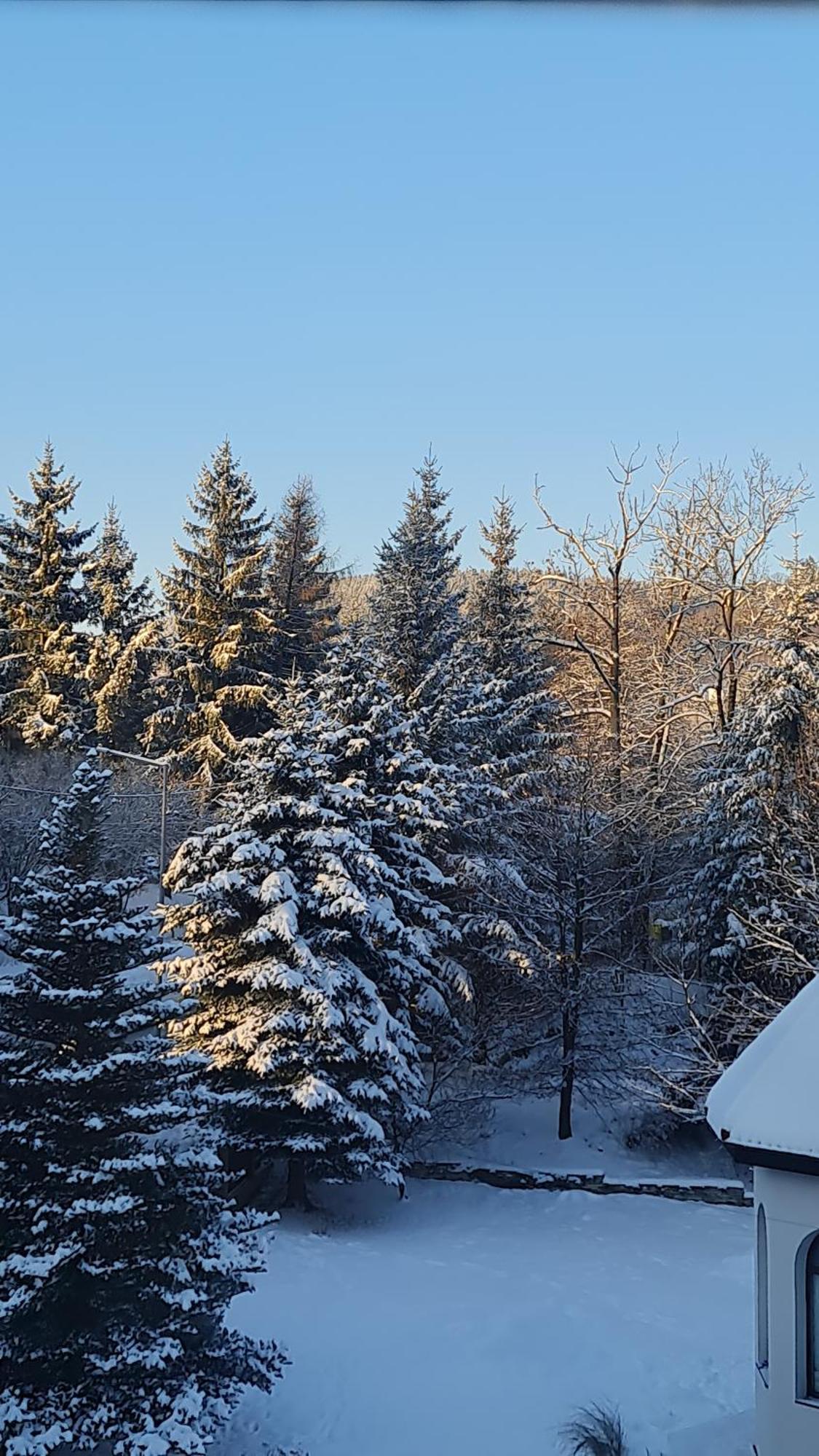 Homestay Sieraton I Stronie Slaskie